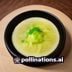 陈材料编辑头像，家居材料行业观察编辑